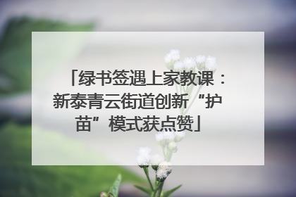 绿书签遇上家教课：新泰青云街道创新“护苗”模式获点赞